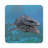 icon 4D Kid Explorer Dinosaurs(Dinosaur VR Game Edukasi) 4.1.1