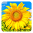 icon Golden Sunflower Live Wallpaper(Golden Sunflower LWP) 3.5