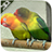 icon Lovebird Live Wallpaper(Cinta Burung Gambar Animasi) 1.12