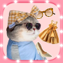 icon Cat fashion stylist()