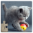 icon Cat Puzzles(Cats Jigsaw Puzzle Game Kids) 32.0