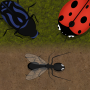 icon Ant Evolution(Ant Evolution: Kehidupan Serangga)