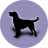 icon Dog(Dog Breeds) 2.4.0