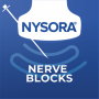 icon Nerve Blocks(Seru NYSORA Blok Saraf)