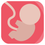icon Hamilelik Takibi(Kehamilan)