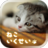 icon jp.eikomz.catplay(Game Simulasi Kucing 3D) 1.7.2
