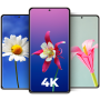 icon Cool Flower Wallpapers 4K | HD (Wallpaper Bunga Keren Sederhana 4K | HD)