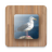 icon Bird Puzzle Games Free(Bird Puzzle Games temperatur) 2.23