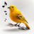 icon Bird Calls(Panggilan Burung, Suara Nada Dering) 13.2.2