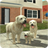 icon Dog Sim(Dog Sim Online: Naikkan Keluarga) 211