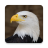 icon Eagle Sounds(Elang Suara dan Ringtone) 2.9