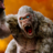 icon Monster Dinosaur Evolution: King Kong Games 2021(Monster Dinosaur Evolution: King Kong Games 2021
) 1.0.2