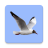 icon Birds of Europe(Burung dari Eropa Panduan Lapangan House Flipper 3D - Pusat Kontrol) 1.0.5