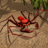 icon Life of Phrynus(Kehidupan Phrynus - Whip Spider) 1.0