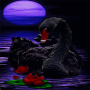 icon Black Swan Live Wallpaper
