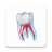 icon Dental Illustrations(3D Gigi) 2.0.94