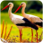 icon The White Stork(Bangau Putih
) 1.0.5