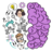 icon Brain Help(Bantuan Otak: Permainan Otak) 1.0.16