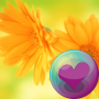 icon Beautiful Flowers HD Wallpapers(Bunga HD Wallpaper)