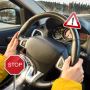 icon Driving Instructor(Driving Instructor-Theory Test)