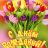 icon com.aljamalmemo97.happybirthdaycards(открытки ем ождения
) 1