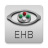 icon Eye Handbook(Buku Pegangan Mata) 10.5.3