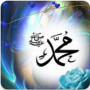icon مکمل سیرت نبی پښتو SeeratNabi (_ _ _ _ _
)