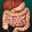 icon Internal Organs 3D Anatomy(Organ Internal dalam 3D Anatomy) 3.1