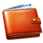 icon Wallet(- Pendapatan dan Pengeluaran)