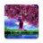 icon Sakura Garden Live Wallpaper(Cherry Blossom Live Wallpaper) 1.0.9
