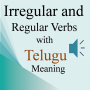 icon Irregular Regular Verb Telugu