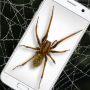 icon Spider in Phone Funny Joke (di Ponsel Lelucon Lucu Detektor Hantu)