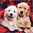 icon Puppies Live Wallpaper(Anak Anjing Gambar Animasi) 2.7