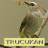 icon Master Kicau Trucukan 1.3