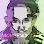 icon MORGENSTERN()