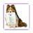 icon TRAIN A DOG(MELATIH ANJING DENGAN MUDAH UNTUK 2020) 22.0