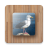 icon Bird Puzzle Games Free(Bird Puzzle Games temperatur) 2.26