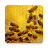 icon com.csg.apiarybook(Buku Apiary) 7.0