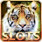 icon Wild Cats Slots(Mesin Slot: Kucing Liar Pernah Bertanggung Jawab - Kalahkan KolEm) 2.2
