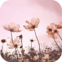 icon Floral Wallpapers (Wallpaper Bunga)