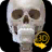 icon Skelett(Skeleton | Anatomi 3D) 2.4.1