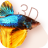 icon Betta Fish 3D Free(Betta Fish 3D Lite) 2.0.7