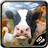 icon FarmRace(Lomba Peternakan) 15.0