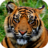 icon Tiger Wallpapers(Wallpaper Tiger) 1.0