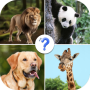 icon Animals Quiz()