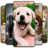 icon Puppy Wallpaper(Wallpaper Anak Anjing Emoji) 3.0.6