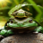 icon com.dakshapps.greenfrogg(Green Frog Live Wallpaper) 3