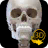 icon Skelett(Skeleton | Anatomi 3D) 2.4.3