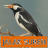 icon Master Kicau Jalak Suren 1.3