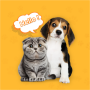icon Pets Translator(Penerjemah Anjing Kucing)
